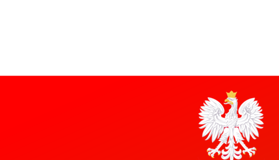 Jak uczyć się języka polskiego za granicą?